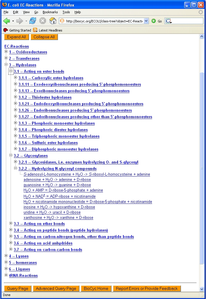 BioCyc_Ontology