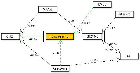 IntEnz reactions users